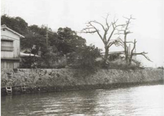 昭和40年ころの樺崎砲台跡