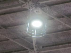 吉田高等学校体育館LED照明の写真2