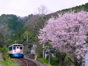 JR予土線 鉄道ホビートレイン