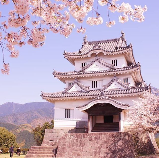 『春の宇和島城』の画像