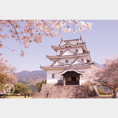 『春の宇和島城』の画像