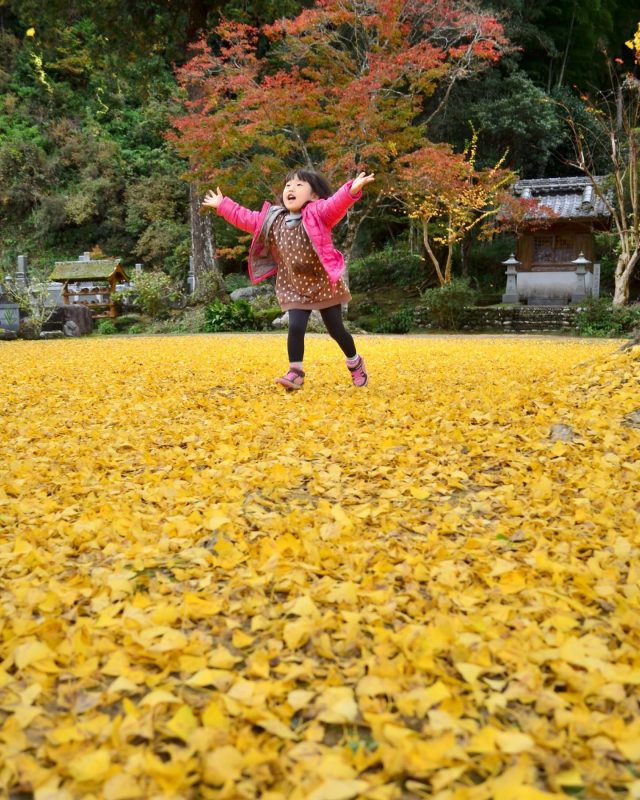 「宇和島百景」大募集の画像7