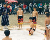 三浦天満神社の練り（相撲練り）