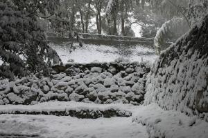 石垣にも雪が降り積もりました