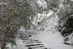 雪化粧をした登城道