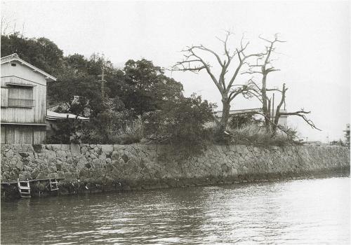昭和40年頃の樺崎砲台跡