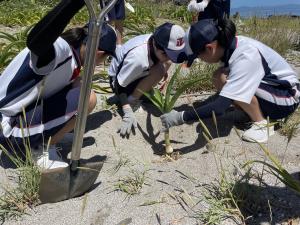 補植活動の様子1