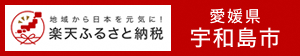 楽天ふるさと納税