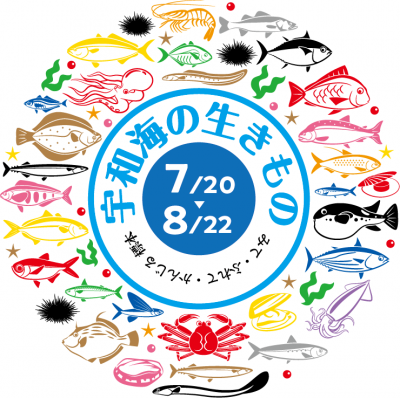 令和4年度夏休み子どもイベント「宇和海の生きもの」