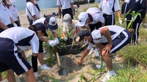 補植活動の様子