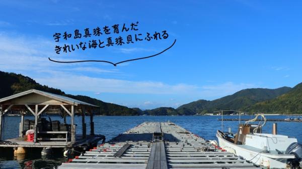 宇和島真珠を育んだきれいな海と真珠貝にふれる