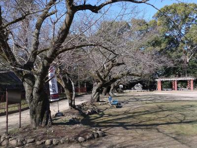 児童公園の様子