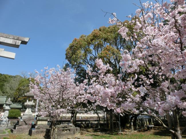 和霊公園