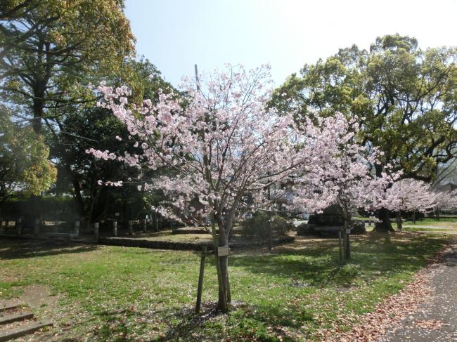 和霊公園