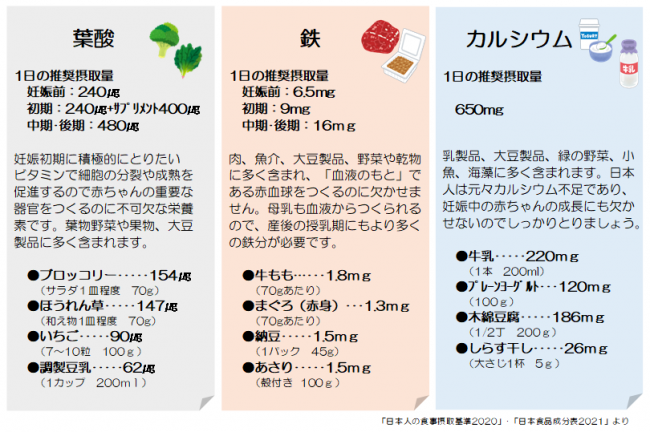 妊娠中に必要な栄養素