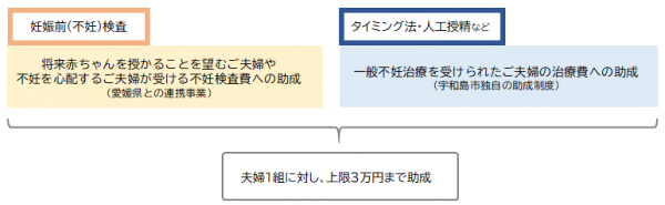 助成対象イメージ（不妊検査）