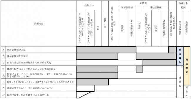 生殖補助医療の治療ステージ