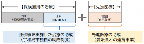 生殖補助医療助成イメージ