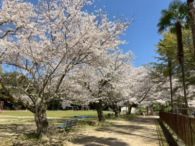 4月1日の様子3