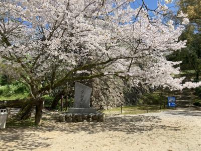 4月1日の様子4