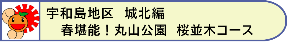 宇和島地区城北編1