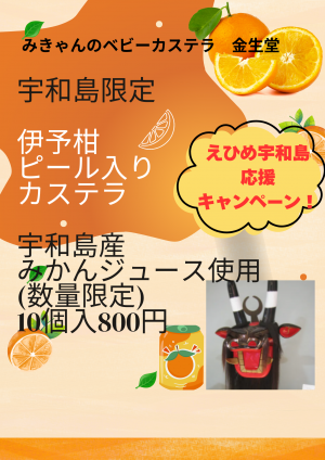 宇和島　伊予柑ピールメニュー