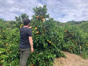 minamisikokufarm