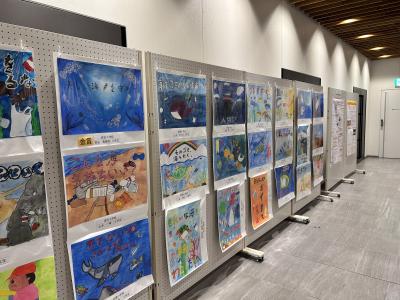 展示2