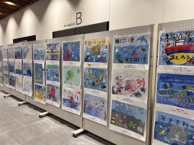 展示4