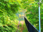 公園の画像56