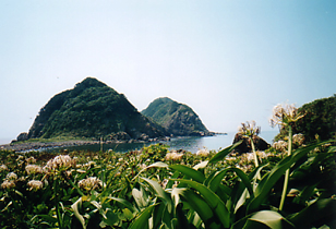 沖の島写真の画像3