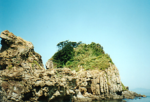 沖の島写真の画像4