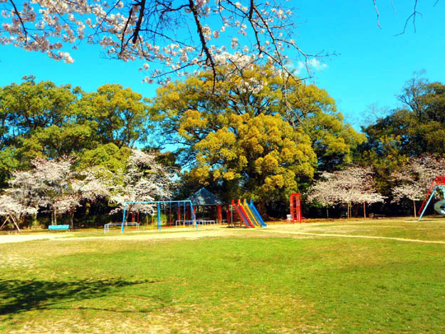 公園画像