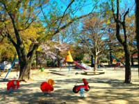 公園の画像6