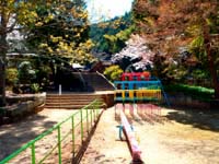 公園の画像6