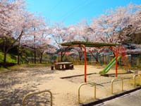 公園の画像1