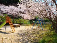 公園の画像4