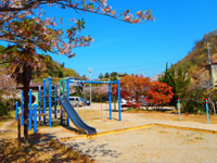 公園の画像3