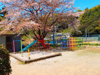 公園の画像1