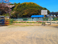 公園の画像4