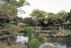 園の東南部枯川口より西方大池を望む