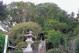 三嶋神社樹叢