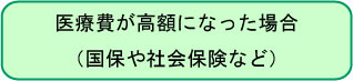 医療費が高額になった場合（国保や社会保険など）