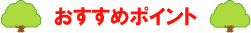 おすすめポイント