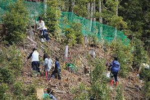 豊かな里山づくり事業の画像2