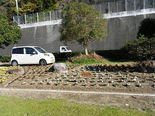 きれいに花苗が植えられた花壇の画像