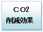 co2削減効果