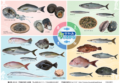 宇和島旬のさかなパンフレット 宇和島市ホームページ 四国 愛媛 伊達十万石の城下町