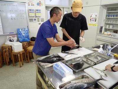 実際の様子