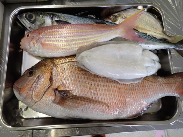 さばく魚たち